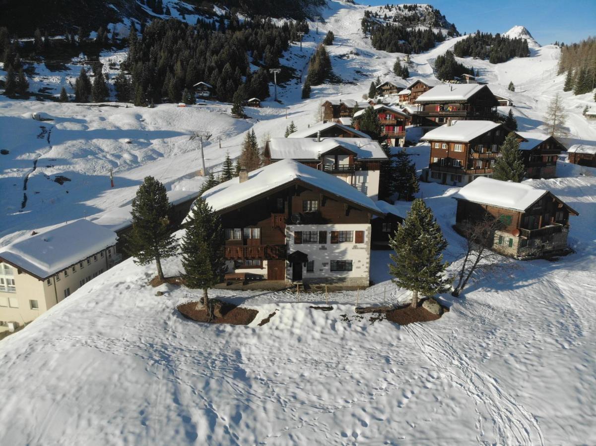 Schoenegg Studio Riederalp Dış mekan fotoğraf