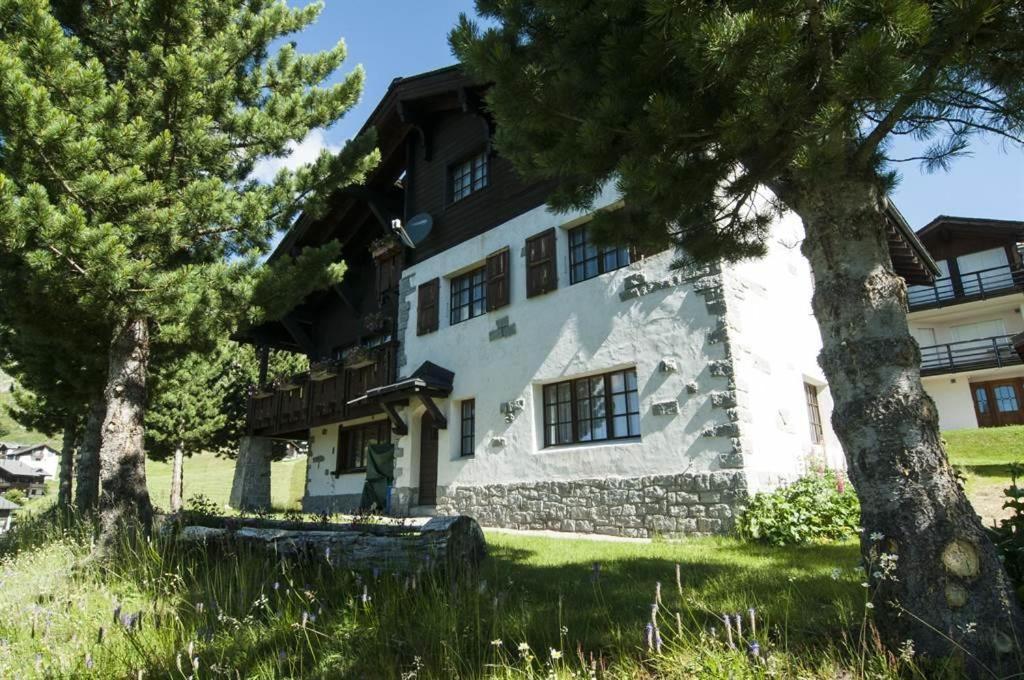 Schoenegg Studio Riederalp Dış mekan fotoğraf