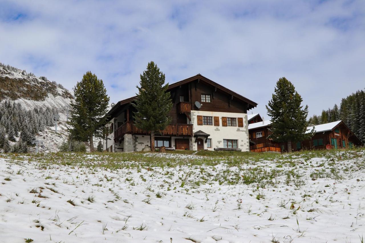 Schoenegg Studio Riederalp Dış mekan fotoğraf