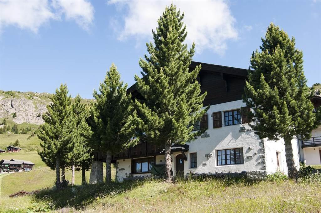 Schoenegg Studio Riederalp Dış mekan fotoğraf