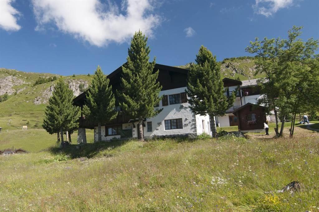 Schoenegg Studio Riederalp Dış mekan fotoğraf